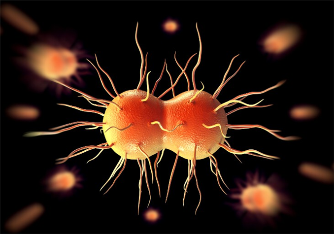 BASHH calls for coordinated response to restrain further spread of azithromycin resistant gonorrhoea